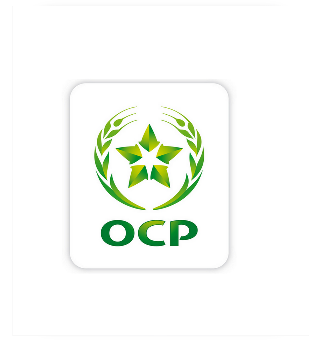 Le Groupe OCP prend note de la décision finale du Département Américain
